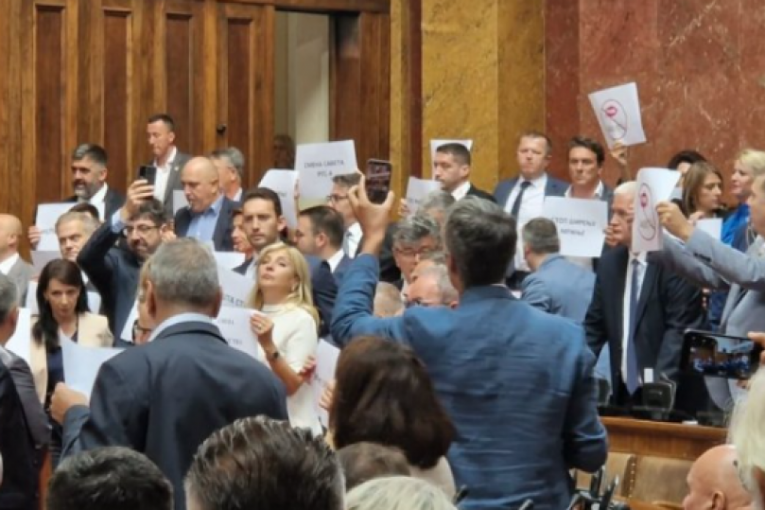 "NE DIRAJTE NAM BOLESNU DECU"! Roditelji dece obolele od retkih bolesti osudili divljanje opozicije u Skupštini! POTRESNO!