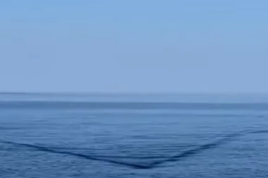 UŽIVAO JE NA JAHTI KADA JE MORE POČELO DA SE POMERA, A ISPOD JE VIDEO JEZIVO STVORENJE: Posle ovog užasnog prizora odlučio je da se kupa samo u bazenu (FOTO/VIDEO)