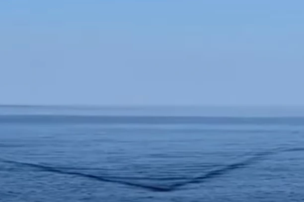 UŽIVAO JE NA JAHTI KADA JE MORE POČELO DA SE POMERA, A ISPOD JE VIDEO JEZIVO STVORENJE: Posle ovog užasnog prizora odlučio je da se kupa samo u bazenu (FOTO/VIDEO)