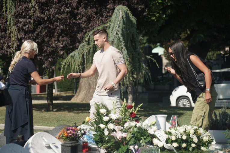 Porodica Šabana Šaulića