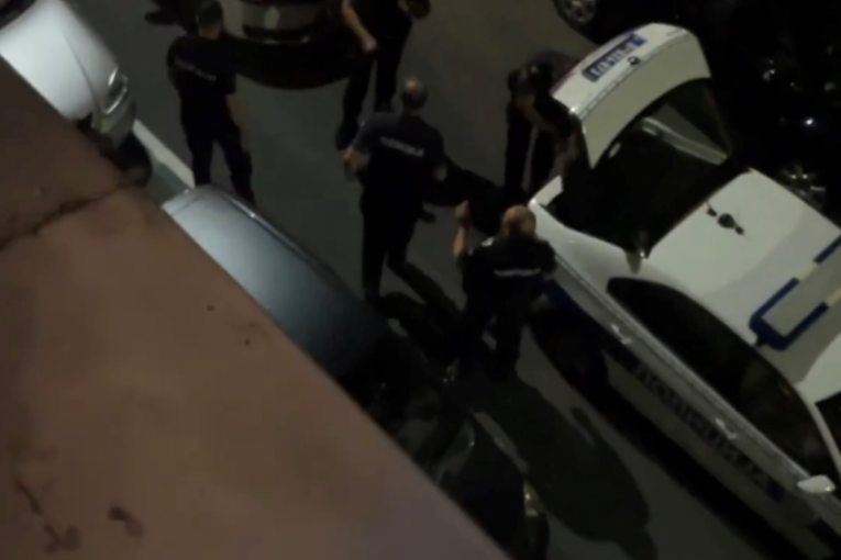 Ana Marija Pavlović policija