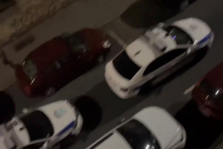 Ana Marija Pavlović tiktok