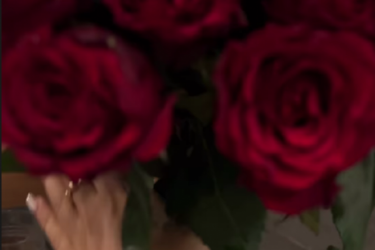 Teodora Džehverović dečko