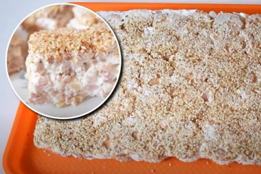 SLANA TORTA SA KREKERIMA I SUSAMOM JE KRALJICA SVAKE TRPEZE: Od malo sastojaka dobijate BOŽANSTVENO PREDJELO, a recept mogu ispratiti čak i deca!