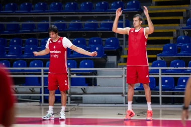 AU, SKUPA SLIKA: Delije TRLJAJU OČI! MVP Evrolige x2!