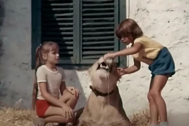 UDOMILI MLADUNČE LAVA, OVAJ IM POJEO SINA PRVENCA! Mazili ga i pazili godinama - onda se desila jeziva tragedija! (VIDEO)