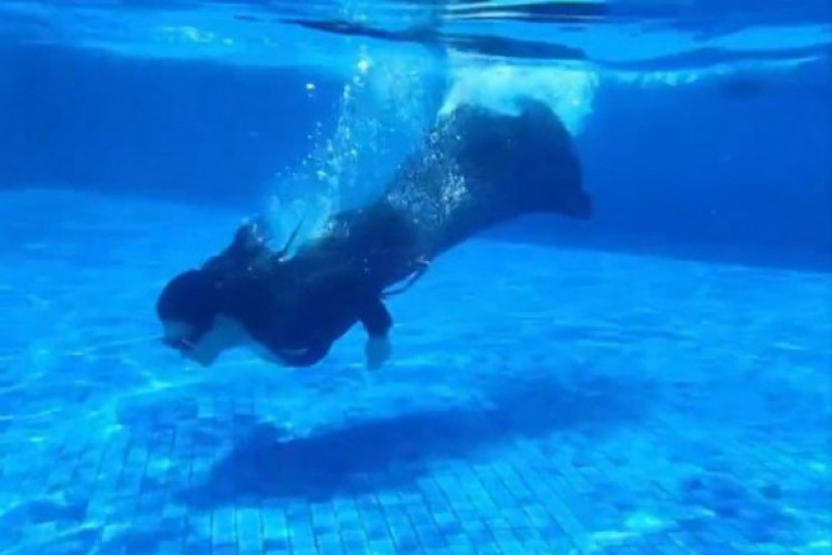 Dragana Mirković Instagram