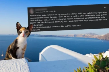 "MOLIM VAS NAHRANITE GA I DAJTE MU VODE"! Molba jedne Srpkinje pogodila u srce sve koji su je pročitali!