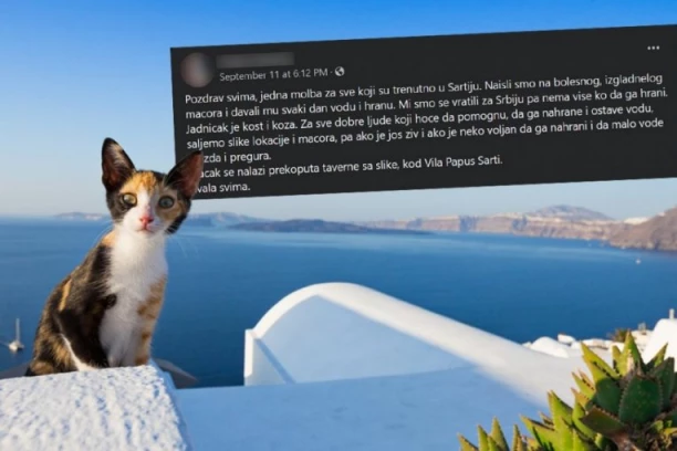 "MOLIM VAS NAHRANITE GA I DAJTE MU VODE"! Molba jedne Srpkinje pogodila u srce sve koji su je pročitali!