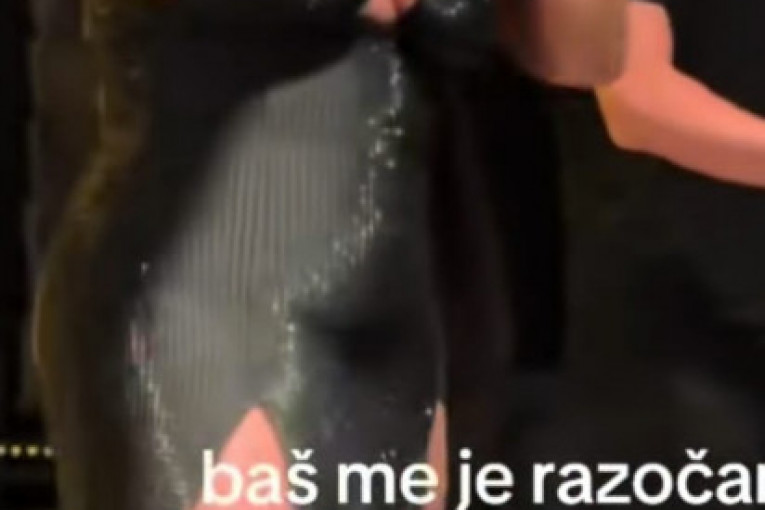 Seka Aleksić, realnost