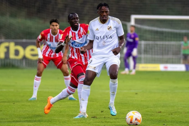 ZOVITE DRUŠTVO ZA ZAŠTITU ŽIVOTINJA: Adetunđi ubio pauka, Glazer nemoćan (VIDEO)