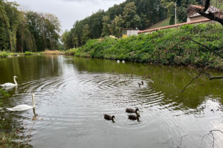 Aleks posetila manastir Nimnik
