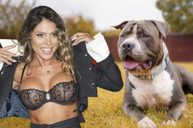 SANDRA AFRIKE OD KOMŠIJE DOBILA STRAVIČNE PRETNJE: Hteo da pusti opasnog psa da je IZUJEDA, pevačica preplašena!