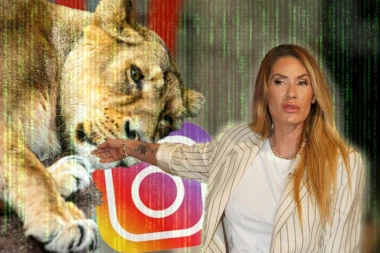 SAJBER NAPAD NA "IZIGRANE LAVICE" Grupa koja RASKRINKAVA Anu Ćurčić na žestokom udaru!