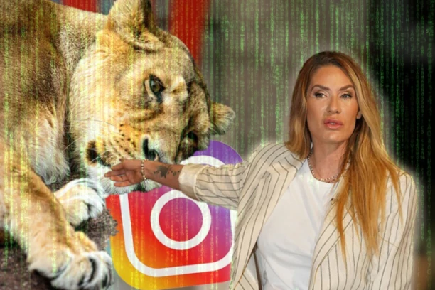 SAJBER NAPAD NA "IZIGRANE LAVICE" Grupa koja RASKRINKAVA Anu Ćurčić na žestokom udaru!