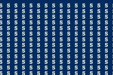 SAMO NAJINTELIGENTNIJI MEĐU VAMA MOGU DA PRONAĐU OSMICU NA SLICI ZA 20 SEKUNDI: Da li vam je uspelo? (FOTO)