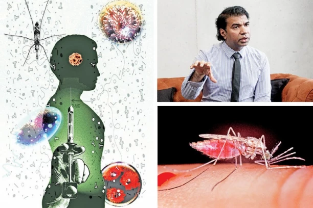 EKSKLUZIVNO: Jedan od najpoznatijih američkih infektologa za Republiku:  KOMARCI ĆE NOSITI VIRUSE I SEJATI SMRT!