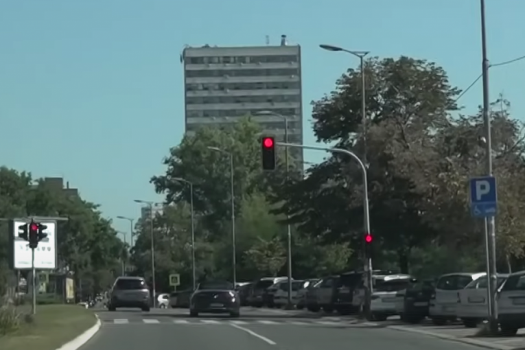 Seka Aleksić krši propise