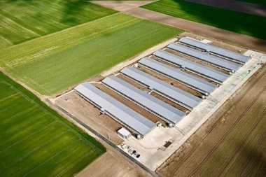 Perutnina Ptuj Topiko nastavlja sa investicijama u proizvodnji pilećeg mesa!