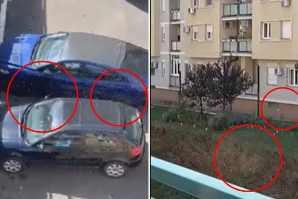 ROJEVI INSEKATA ZAPOSELI NASELJE STEPA STEPANOVIĆ: "Ne možemo da živimo od buba! Na sve strane su!" (VIDEO)