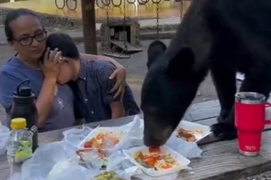 NE, NE ŽELITE DA VAM MEDVED DOĐE NA RUČAK: Meksičkoj porodici se upravo to desilo - sedeli su SKAMENJENI dok je strašna životinja UŽIVALA U JELU (VIDEO)