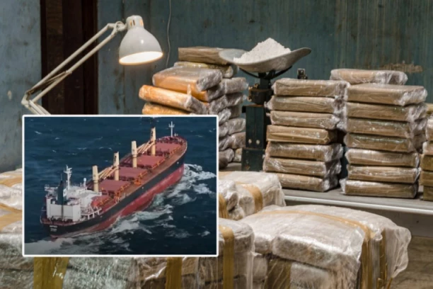 OVO JE KOKAIN ZAPLENJEN U FRANCUSKOJ! Pao ogranak "balkanskog kartela" sa 4,8 tona droge, među njima i Beograđanin! (FOTO)