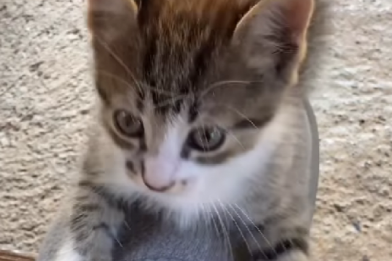 Marko Marković Instagram