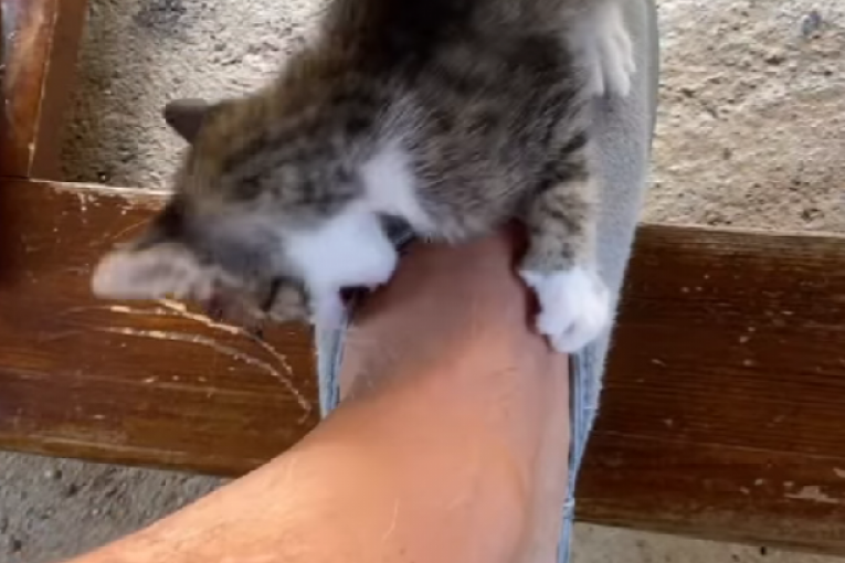 Marko Marković Instagram