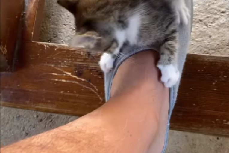 Marko Marković Instagram