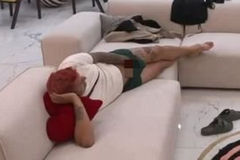 Borislav Terzić Terza Elita Zadruga 7