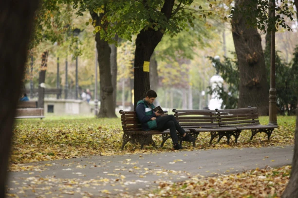 JUTRO HLADNO I MAGLOVITO, TOKOM DANA SUNČANO! Iskoristite dan, stiže nam novo naoblačenje, EVO i kada!