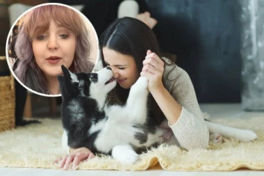 OVO SU NAJNEPOŽELJNIJE RASE PASA: Grumerka objasnila koje su kuce napete, dramatične i koje vas grizu bez ikakve najave opasnosti (VIDEO)