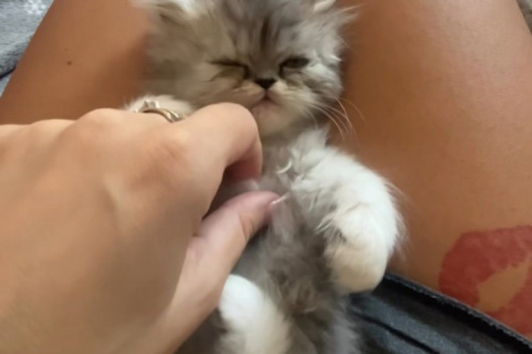 Dalila Dragojević Instagram