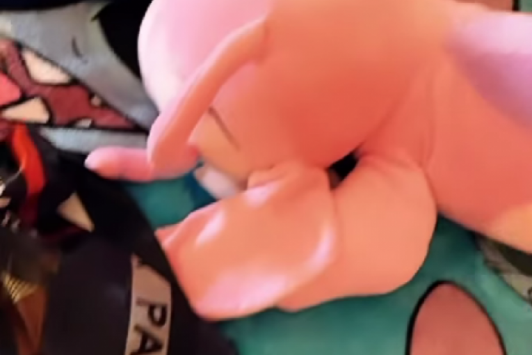 Aleks Nikolić i Maja Marinković