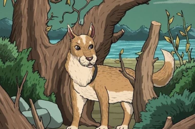 NA OVOJ FOTOGRAFIJI NALAZE SE DVE ŽIVOTINJE: Samo najinteligentniji mogu da shvate gde je druga (FOTO)