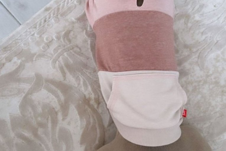 Stanija Dobrojević  Pablo