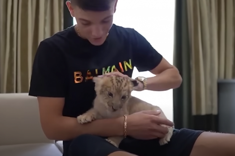 Stefan Janković Janko instagram