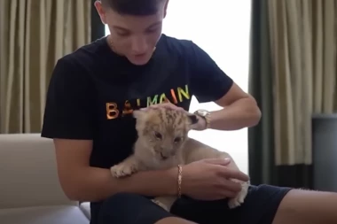 POLICIJA UPALA KOD JUTJUBERA KOJI JE DRŽAO LAVA U KUĆI: Hitno reakcija nadležnih organa, ovo su novi detalji slučaja (FOTO)