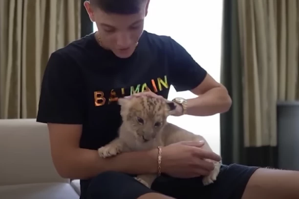 POLICIJA UPALA KOD JUTJUBERA KOJI JE DRŽAO LAVA U KUĆI: Hitno reakcija nadležnih organa, ovo su novi detalji slučaja (FOTO)