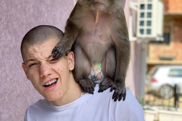 Stefan Janković Janko instagram