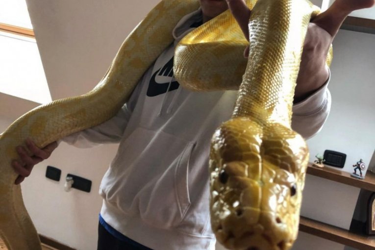 Stefan Janković Janko instagram