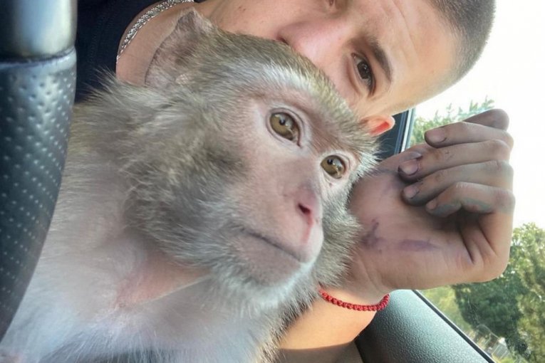 Stefan Janković Janko instagram