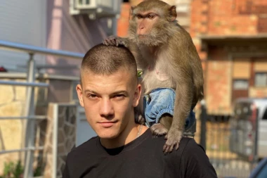 DONETA ZVANIČNA ODLUKA O KRIVICI JUTJUBERA JANKA: Tužilaštvo izdalo saopštenje!