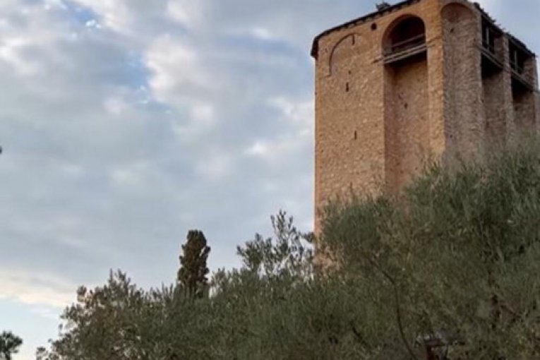 Milan Stanković instagram