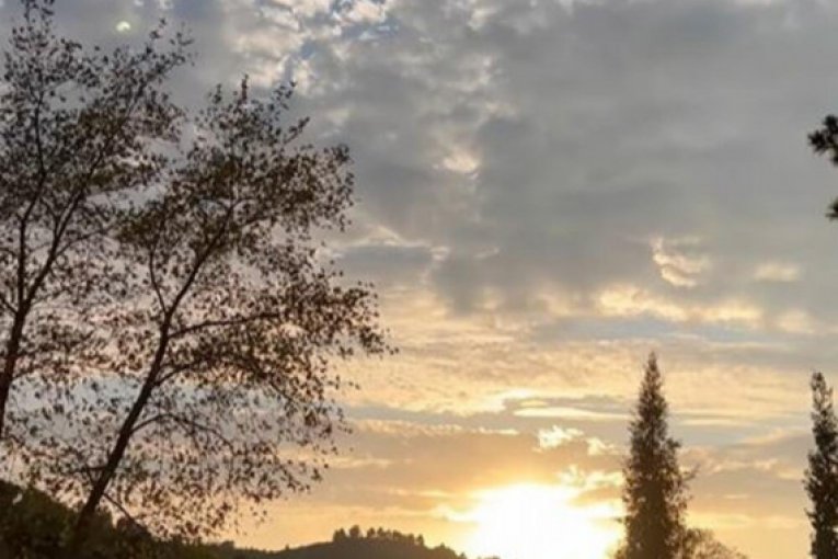 Milan Stanković instagram