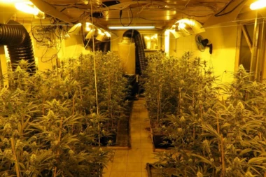 VELIKA AKCIJA POLICIJE! Razbijena još jedna kriminalna grupa -pronađene laboratorije u Srbiji i inostranstvu