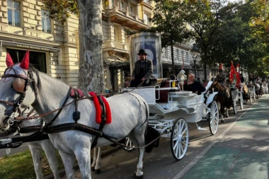 PALMA U BEČU ORGANIZOVAO 25 FIJAKERA DA VOZE SRPSKE POLJOPRIVREDNIKE KROZ AUSTRIJSKU PRESTONICU (FOTO,VIDEO)