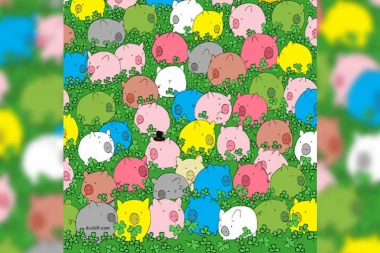 SKRIVALICA KOJA JE NAMUČILA MNOGE: Probajte da nađete detelinu sa ČETIRI LISTA, rekord je 15 sekundi (FOTO)