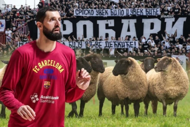 GROBARI SE OSVETILI MIROTIĆU: Evo ŠTA je DOŽIVEO zbog POGAŽENE REČI!