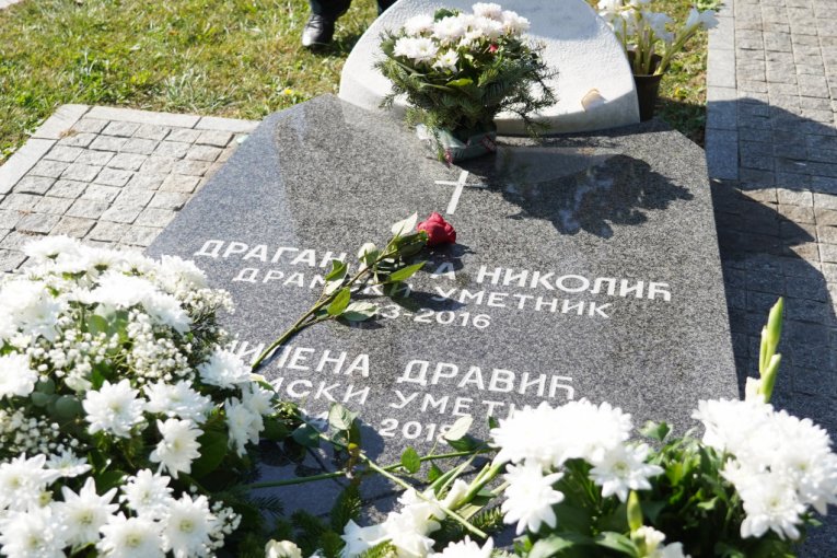 MIlena Dravić pomen